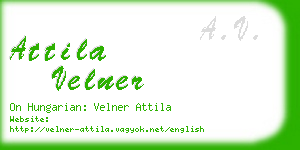 attila velner business card